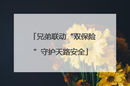 兄弟联动“双保险”守护天路安全