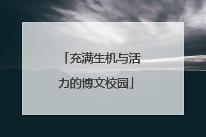 充满生机与活力的博文校园