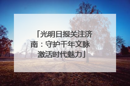 光明日报关注济南：守护千年文脉 激活时代魅力