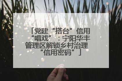 党建“搭台”信用“唱戏”：宁阳华丰管理区解锁乡村治理“信用密码”