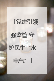 党建引领强监管 守护民生“水电气”