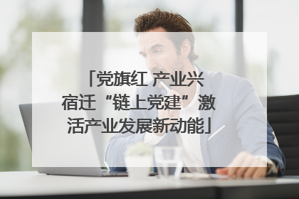 党旗红 产业兴 宿迁“链上党建”激活产业发展新动能