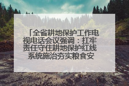 全省耕地保护工作电视电话会议强调：扛牢责任守住耕地保护红线 系统施治夯实粮食安全根基 王宁作出批示 王予波出席并讲话