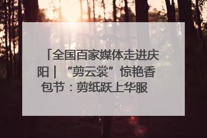 全国百家媒体走进庆阳｜“剪云裳”惊艳香包节：剪纸跃上华服 非遗焕发新彩