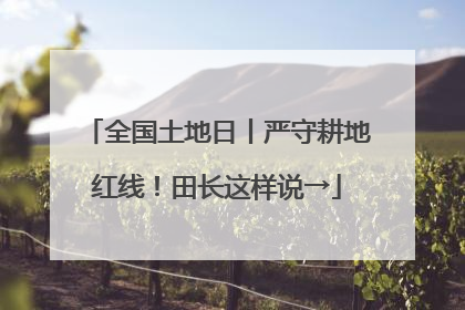 全国土地日丨严守耕地红线！田长这样说→