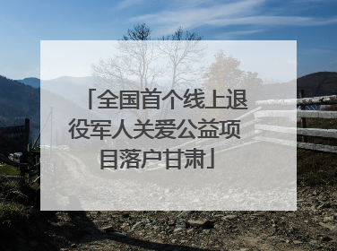 全国首个线上退役军人关爱公益项目落户甘肃