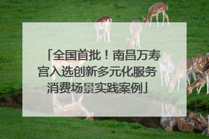 全国首批！南昌万寿宫入选创新多元化服务消费场景实践案例
