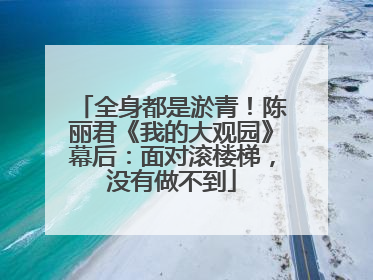 全身都是淤青！陈丽君《我的大观园》幕后：面对滚楼梯，没有做不到