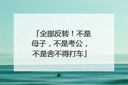 全部反转！不是母子，不是考公，不是舍不得打车