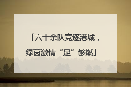 六十余队竞逐港城，绿茵激情“足”够燃