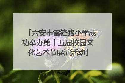 六安市雷锋路小学成功举办第十五届校园文化艺术节展演活动
