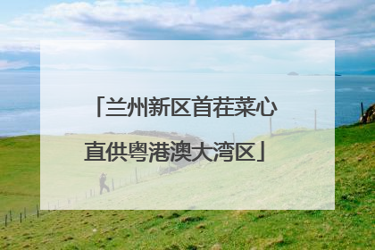 兰州新区首茬菜心直供粤港澳大湾区