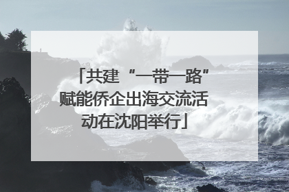 共建“一带一路”赋能侨企出海交流活动在沈阳举行