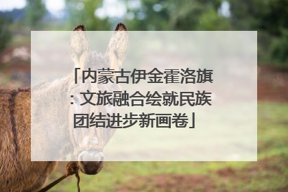 内蒙古伊金霍洛旗：文旅融合绘就民族团结进步新画卷