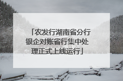 农发行湖南省分行银企对账省行集中处理正式上线运行