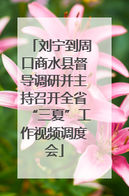 刘宁到周口商水县督导调研并主持召开全省“三夏”工作视频调度会
