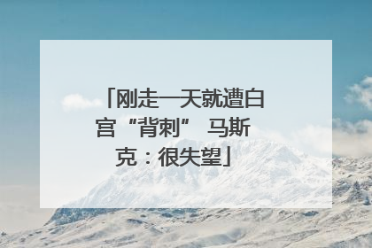 刚走一天就遭白宫“背刺” 马斯克：很失望