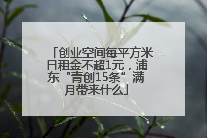 创业空间每平方米日租金不超1元，浦东“青创15条”满月带来什么