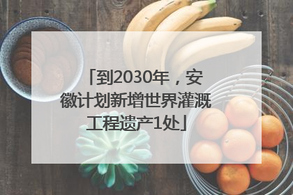 到2030年，安徽计划新增世界灌溉工程遗产1处