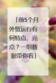 前5个月外贸运行有何特点、亮点？一组数据带你看