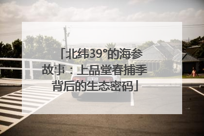 北纬39°的海参故事：上品堂春捕季背后的生态密码