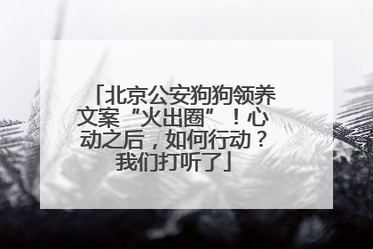 北京公安狗狗领养文案“火出圈”！心动之后，如何行动？我们打听了