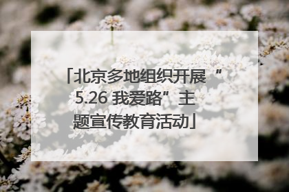 北京多地组织开展“5.26 我爱路”主题宣传教育活动
