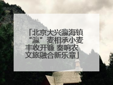 北京大兴瀛海镇“瀛”麦相承小麦丰收开镰 奏响农文旅融合新乐章