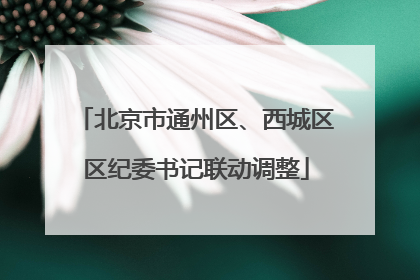 北京市通州区、西城区区纪委书记联动调整