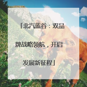北汽蓝谷：双品牌战略领航，开启发展新征程