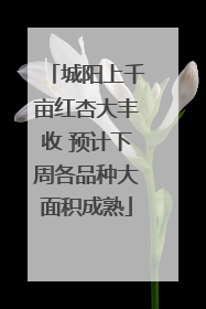 城阳上千亩红杏大丰收 预计下周各品种大面积成熟