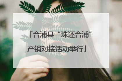 合浦县“珠还合浦”产销对接活动举行