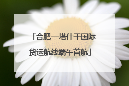 合肥—塔什干国际货运航线端午首航