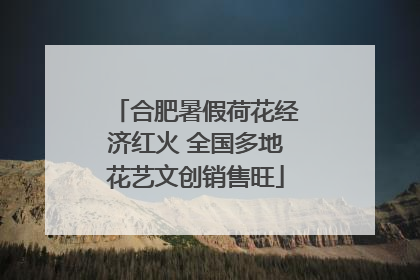 合肥暑假荷花经济红火 全国多地花艺文创销售旺