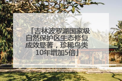 吉林波罗湖国家级自然保护区生态修复成效显著，珍稀鸟类10年增加5倍
