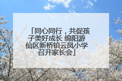 同心同行，共促孩子美好成长 绵阳游仙区新桥镇云凤小学召开家长会