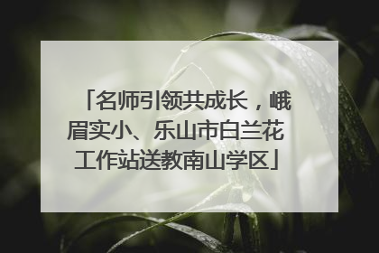 名师引领共成长，峨眉实小、乐山市白兰花工作站送教南山学区