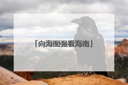向海图强看海南