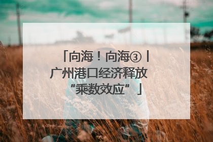 向海！向海③丨广州港口经济释放“乘数效应”