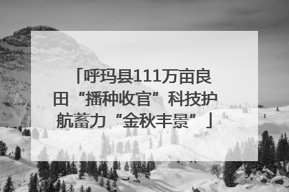呼玛县111万亩良田“播种收官”科技护航蓄力“金秋丰景”