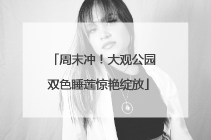 周末冲！大观公园双色睡莲惊艳绽放