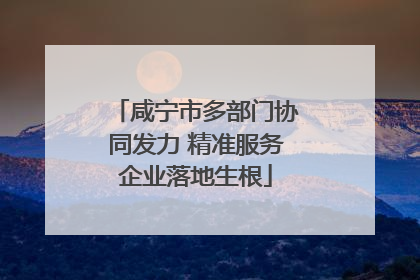 咸宁市多部门协同发力 精准服务企业落地生根