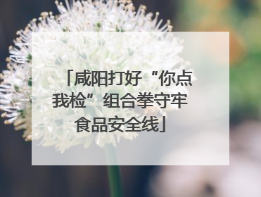 咸阳打好“你点我检”组合拳守牢食品安全线