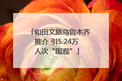 和田文旅乌鲁木齐推介 引5.24万人次“围观”