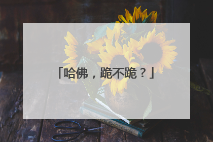 哈佛，跪不跪？