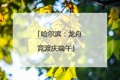 哈尔滨：龙舟竞渡庆端午