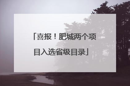 喜报！肥城两个项目入选省级目录