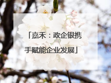 嘉禾：政企银携手赋能企业发展