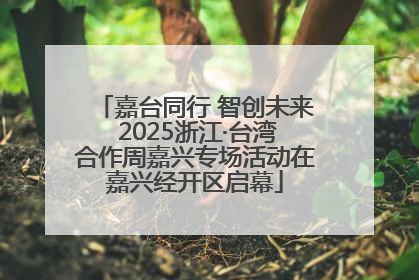 嘉台同行 智创未来 2025浙江·台湾合作周嘉兴专场活动在嘉兴经开区启幕