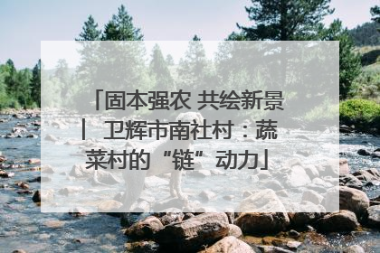 固本强农 共绘新景 ︳卫辉市南社村：蔬菜村的“链”动力